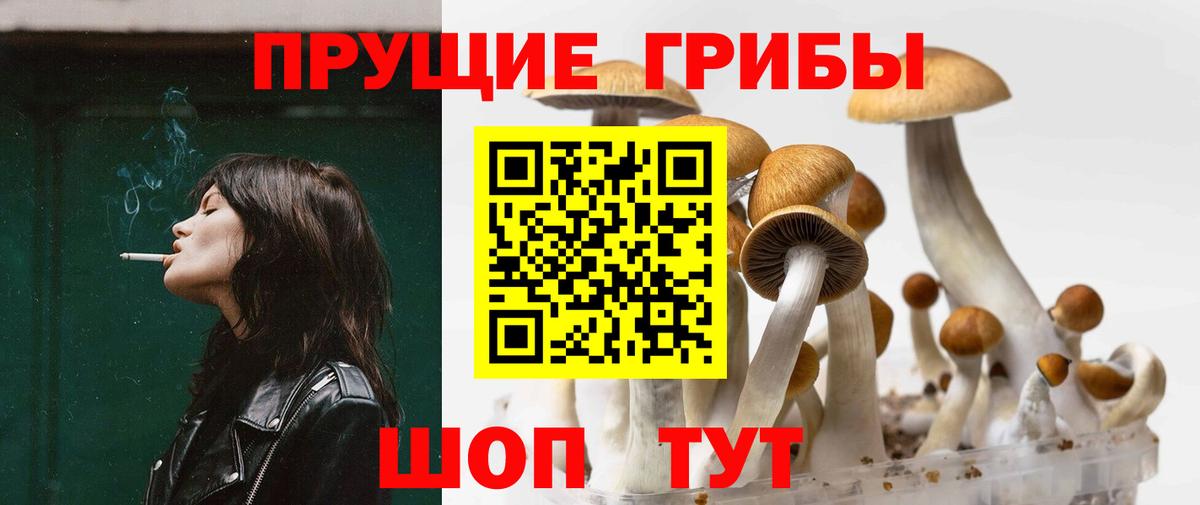 Псилоцибиновые грибы Magic Shrooms Арзамас