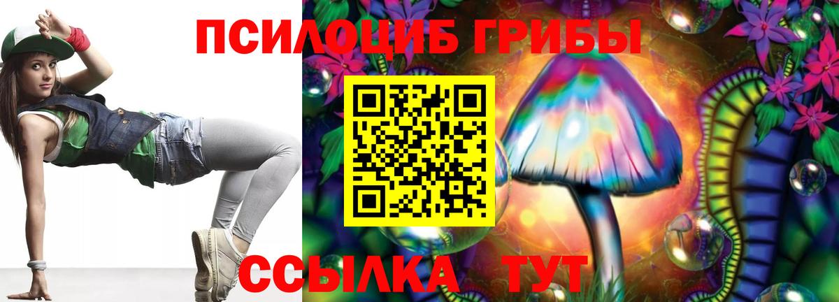 Галлюциногенные грибы Cubensis  Вход с VPN  Арзамас 